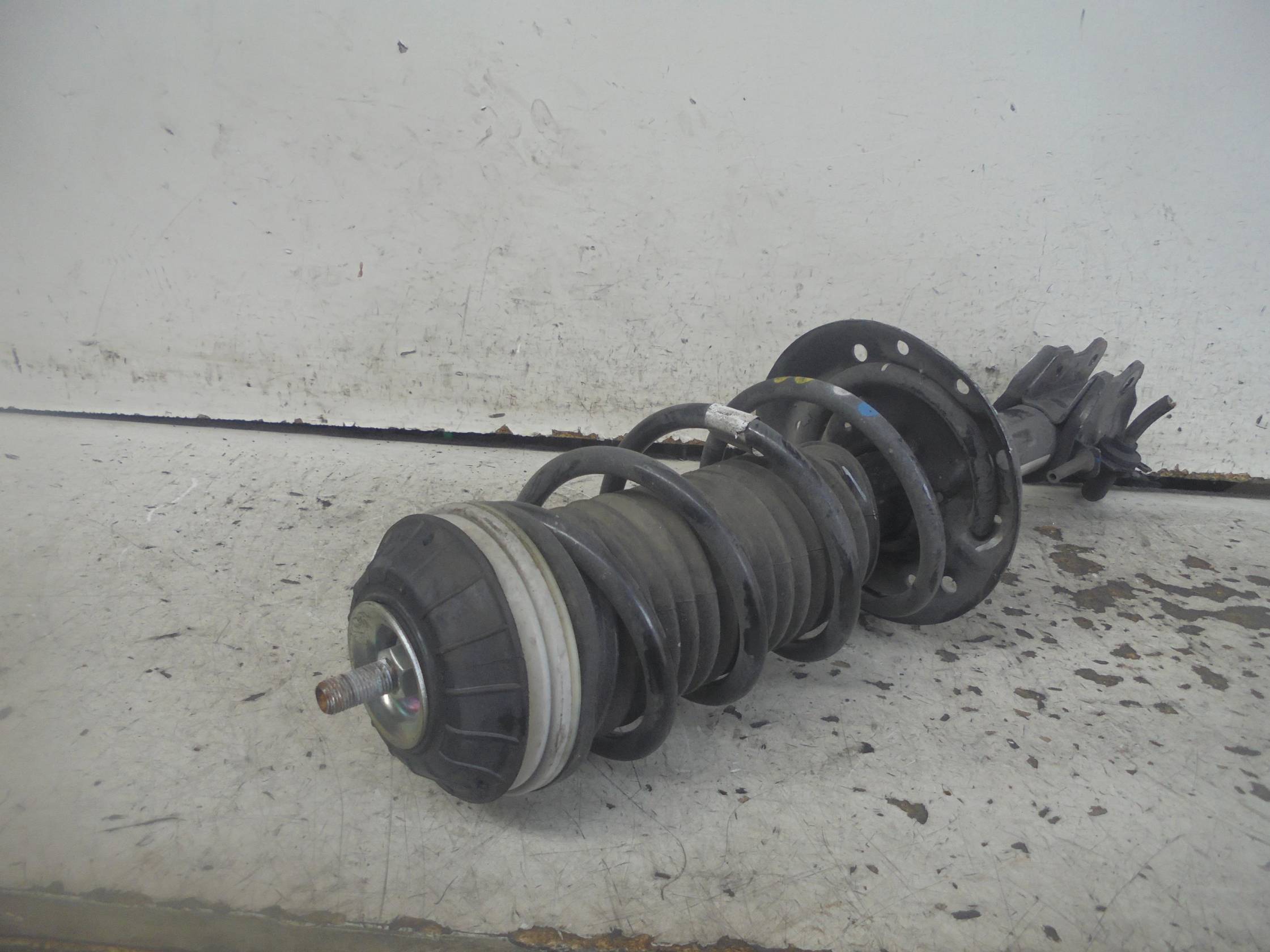 Ammortizzatore ant. sx.